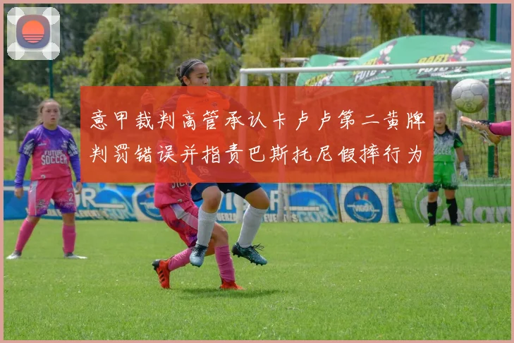 意甲裁判高管承认卡卢卢第二黄牌判罚错误并指责巴斯托尼假摔行为