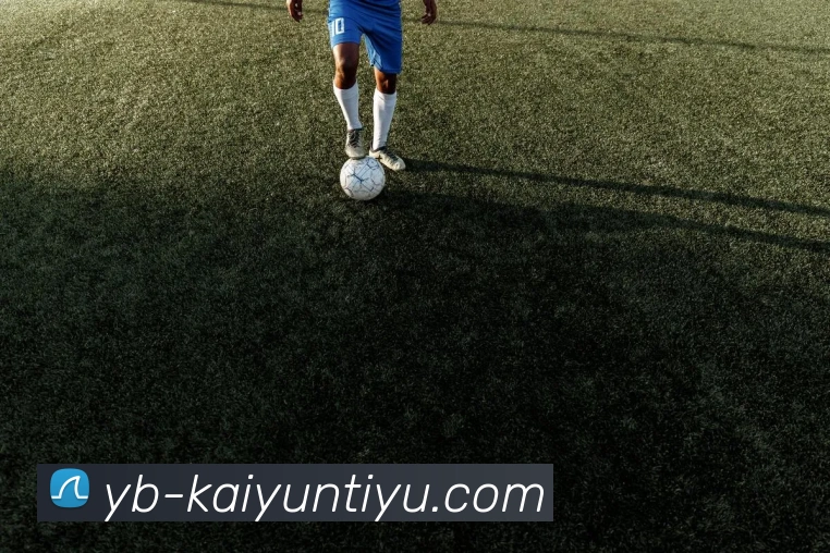 开云体育APP 高清赛事图