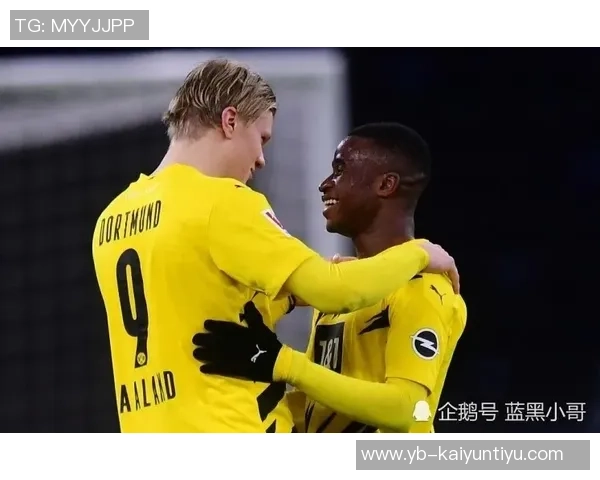 多特19岁前锋科尔坎贝尔欲冬窗离队多家俱乐部表达浓厚兴趣