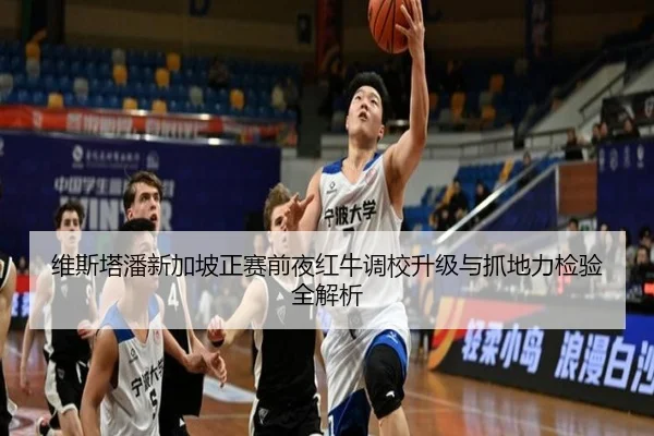 维斯塔潘新加坡正赛前夜红牛调校升级与抓地力检验全解析（kaiyun）